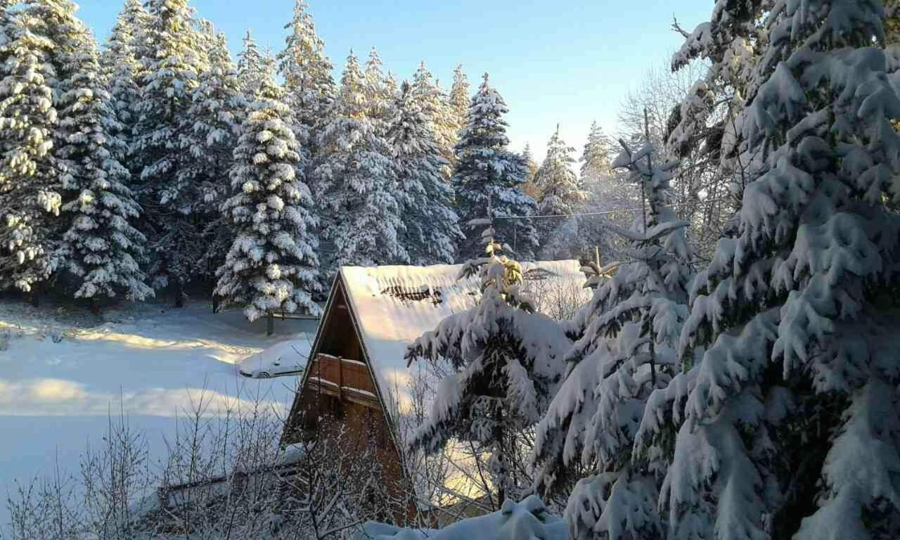 Vikendica Tarsko Srce S Villa Mitrovac Kültér fotó